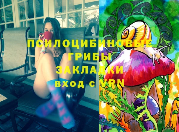 Альфа ПВП Верея